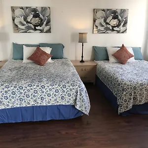 Waikiki Banyan Apartment